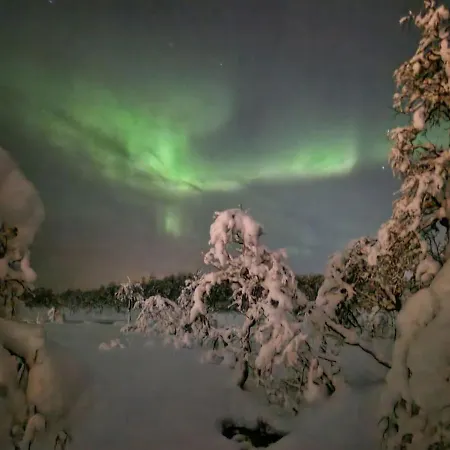 Aurora View Iii - Close To Everything * Tromsø