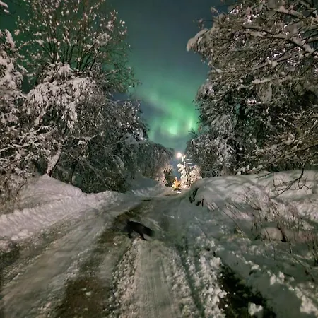 Aurora View Iii - Close To Everything * Tromsø